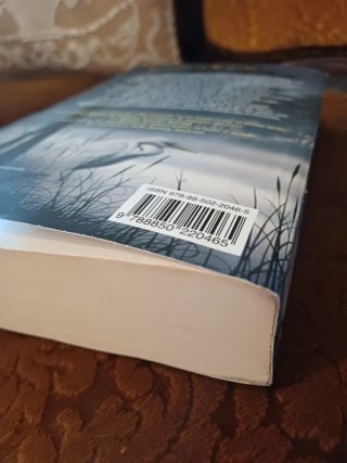 Libro Le nebbie di Avalon