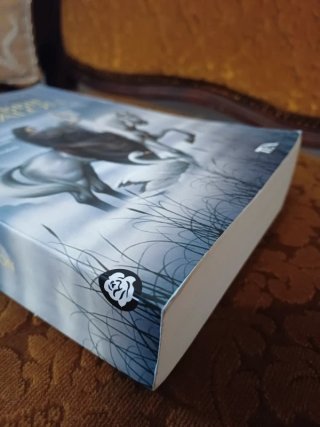 Libro Le nebbie di Avalon