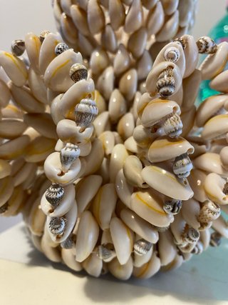 Vaso decorativo conchiglie