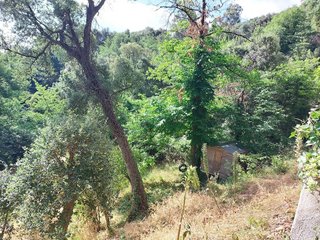 Terreno en venta en Tordera en Tordera
