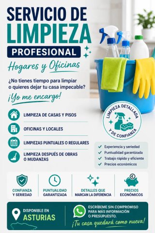 Limpieza profesional