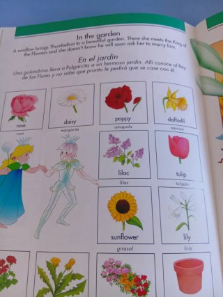 Mis Primeras Palabras : Ingles - Español