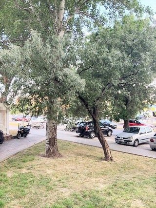 Piso en alquiler en Moscardó en Madrid