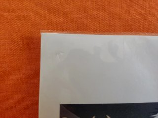 stampa Guernica Picasso