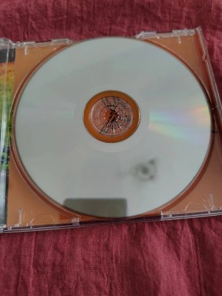 CD The All-American Rejects