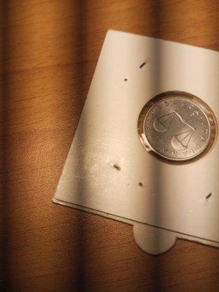 Moneta 1 Lira 1983