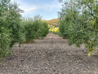 Terreno en venta en Villamartín