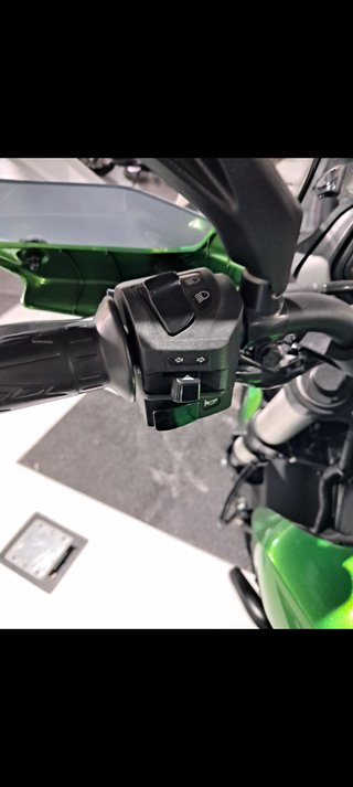 Bajaj Dominar 400 Verde 2025