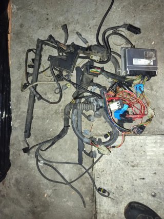 Cableado ECU M52B28 Siemens