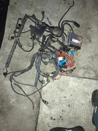 Cableado ECU M52B28 Siemens