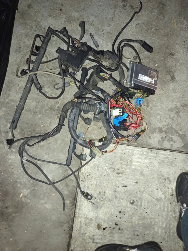 Cableado ECU M52B28 Siemens