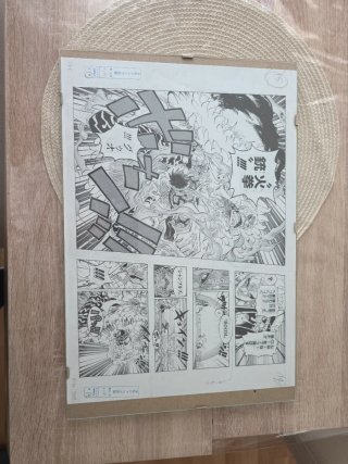 One Piece página manga limitada