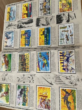 Antiguo Álbum Cromos Bambi Walt Disney