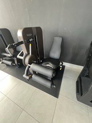 Lote TECHNOGYM ARTIS SERIES