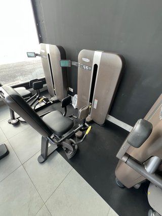 Lote TECHNOGYM ARTIS SERIES