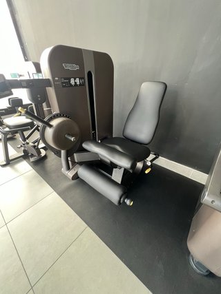 Lote TECHNOGYM ARTIS SERIES