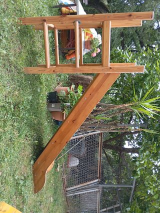 Tobogán infantil madera y blanco