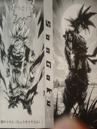 Dragón ball Goku Namek  JT  Edición Limitada