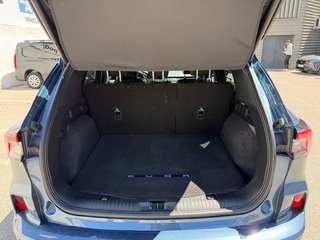 Ford Kuga ST-Line X Graphite T 2.5 Duratec FHEV AT