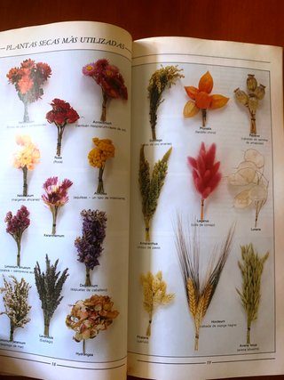 "La decoración con flores secas"