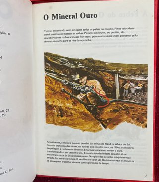 Coleção Pequena Enciclopédia Juvenil (11 Volumes)