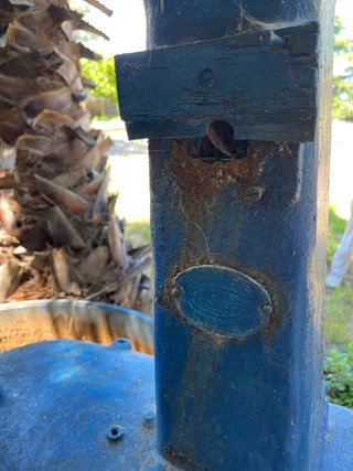 Amasadora industrial azul