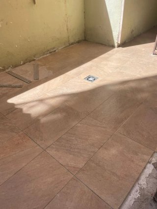 PALETA OFICIAL