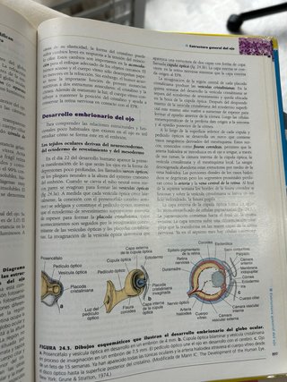 Libro Atlas de histología Ross