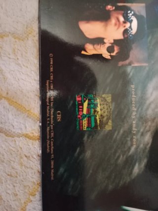 Vinilo Immaculate Fools - Another Man's World