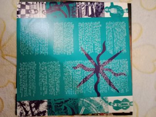 Vinilo Immaculate Fools - Another Man's World
