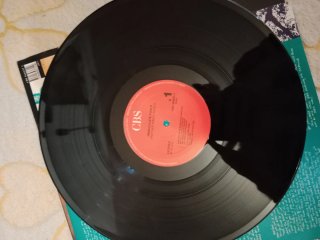 Vinilo Immaculate Fools - Another Man's World