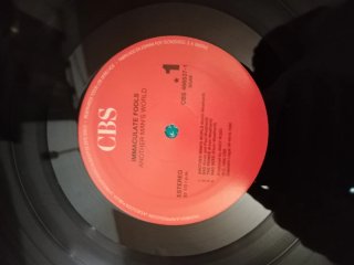 Vinilo Immaculate Fools - Another Man's World