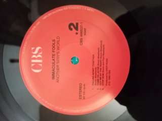 Vinilo Immaculate Fools - Another Man's World