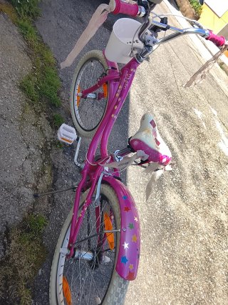 Bicicleta niña Trek Mystic rosa