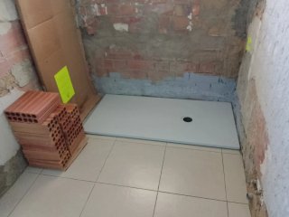PALETA OFICIAL