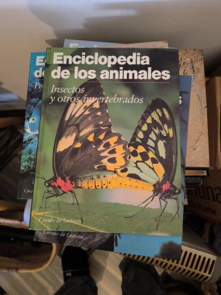 Enciclopedia de los animales.