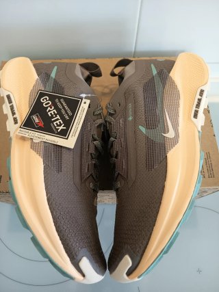 Nike Pegasus Trail 5 Gore-Tex Talla 41