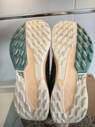Nike Pegasus Trail 5 Gore-Tex Talla 41
