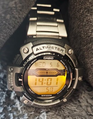 Casio SGW-300H Reloj Plata