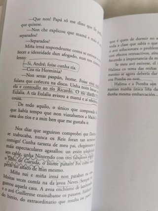 Libro lectura juvenil "A pomba e o Degolado"