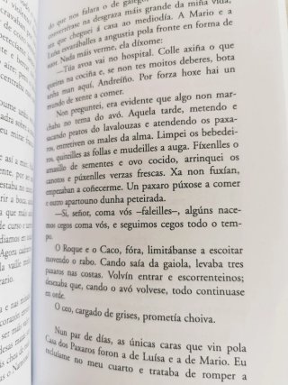 Libro lectura juvenil "A pomba e o Degolado"