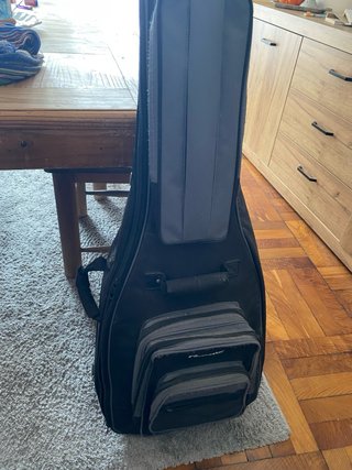 Guitarra Rochester