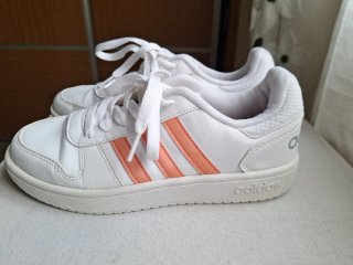 Lote Zapatos Talla 38