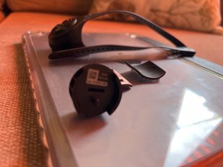 Control remoto Garmin GDR S550