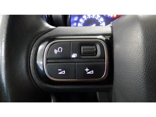 Citroën C3 Aircross C-Series PureTech 81kW (110CV) S&S