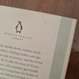 Frankenstein - Mary Shelley