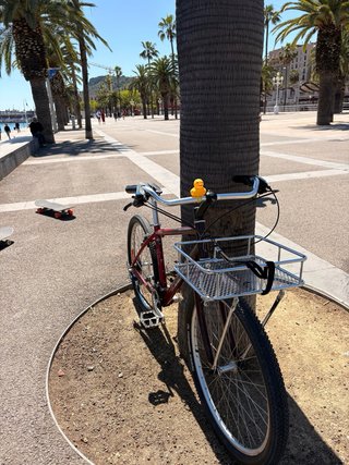 Bicicleta Urbana Specialized Vintage