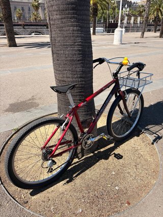 Bicicleta Urbana Specialized Vintage