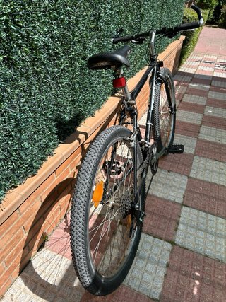 Bicicletta da Montagna Trek Uomo