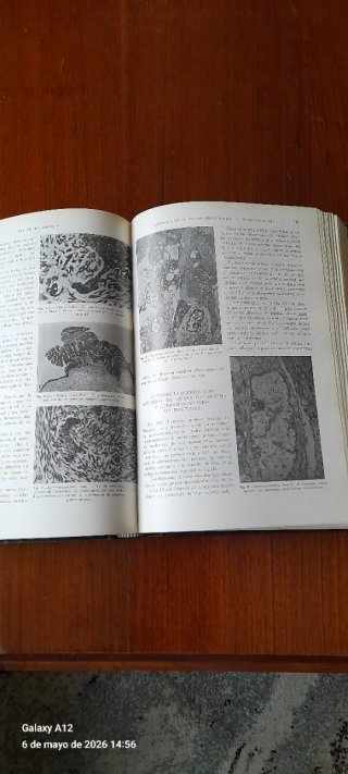 Libro-homenaje al profesor D. Rafael Vara López